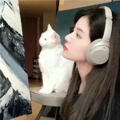 蒲公英